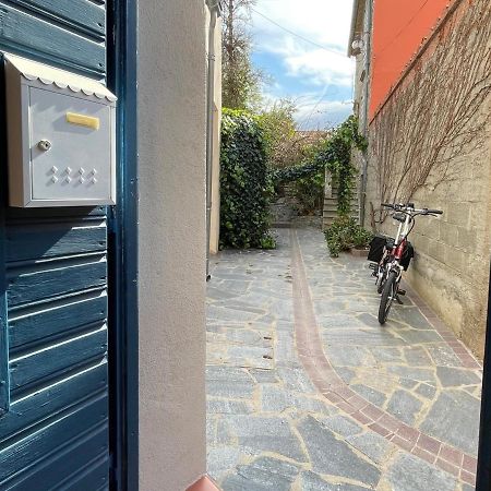 Studio Cabine A Collioure, A 100M De La Plage Et Des Commerces - Fr-1-309-153 מראה חיצוני תמונה