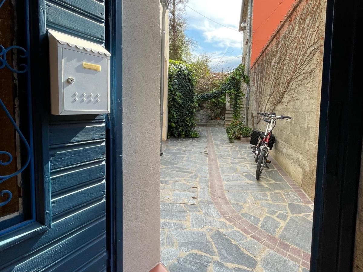 Studio Cabine A Collioure, A 100M De La Plage Et Des Commerces - Fr-1-309-153 מראה חיצוני תמונה